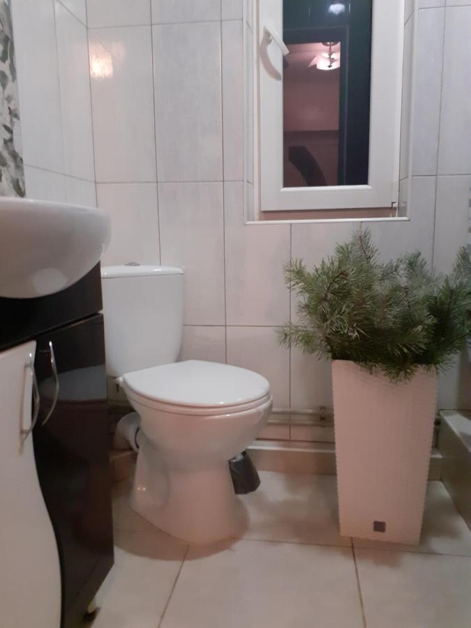 Guest House Viktoria ヤレムチャ エクステリア 写真